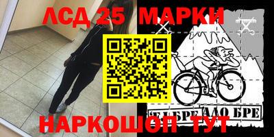 молекула духа Будённовск