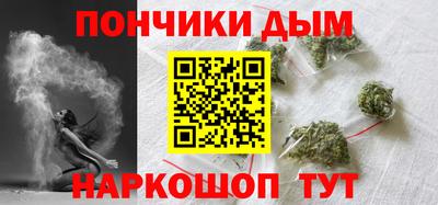 молекула духа Будённовск