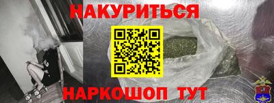 молекула духа Будённовск
